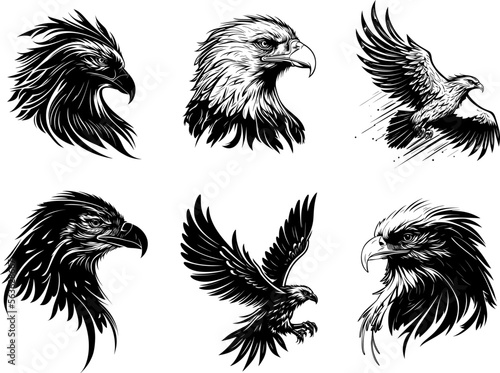 Eagle Silhouette Hand Drawn Vector Illustrations Set