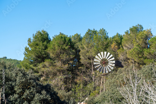  Old windmill in a forest with pine trees