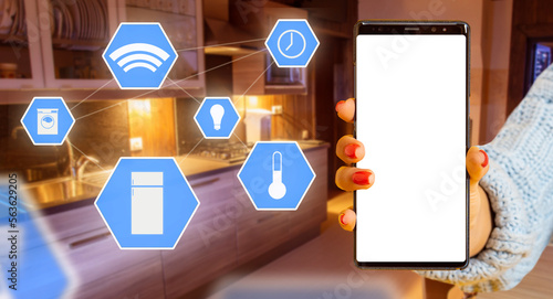 Phone for smart home system...