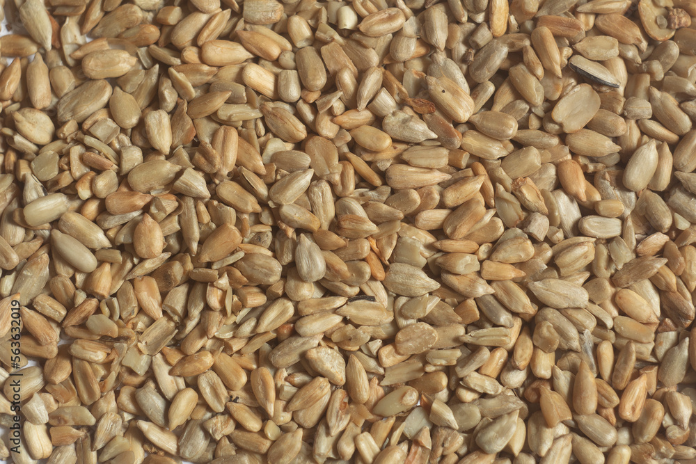 sunflower seeds roasted and peeled top view, texture sunflower seeds roasted and peeled top view, texture