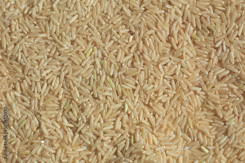 rice top view, texture