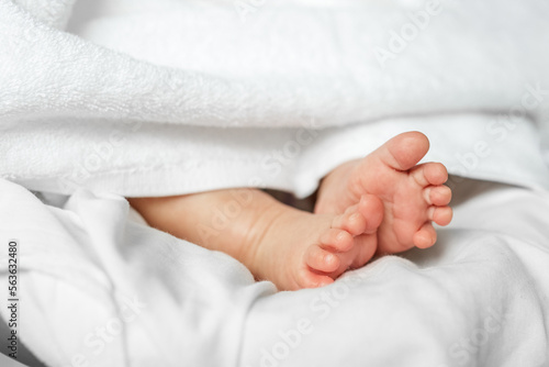 Feet of newborn under white blanket. Beautiful background. Newborn and family concept. Close up