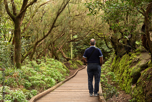 Hombre paseando por el bosque en el macizo de Anaga,  Tenerife. photo