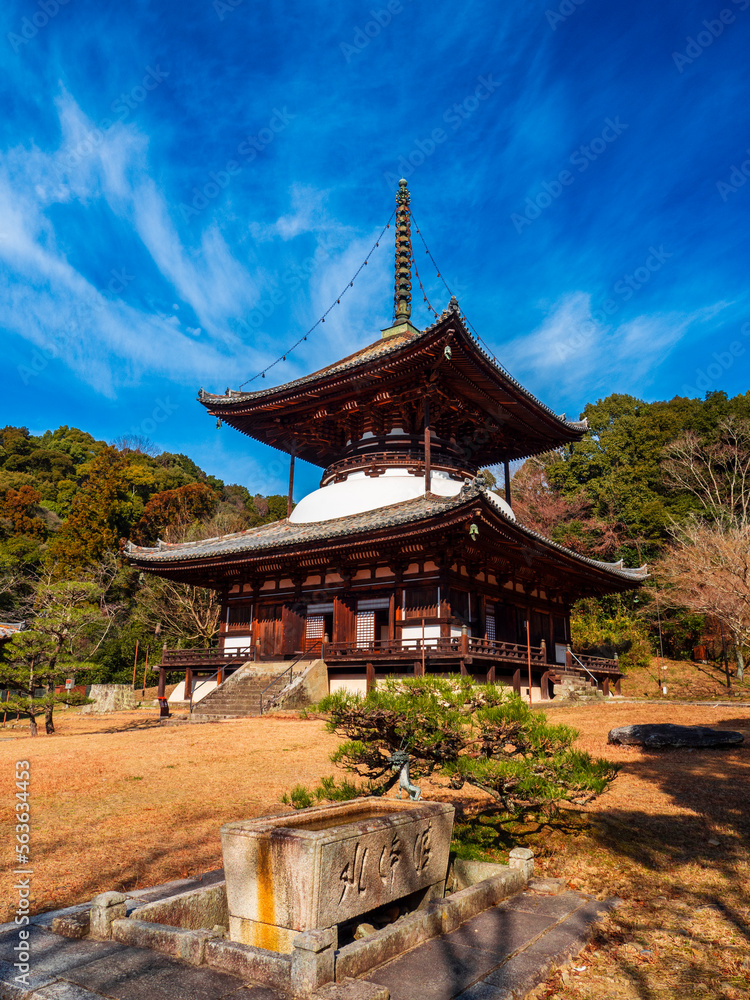 根来のお寺の大きい塔 根来のお寺の大きい塔