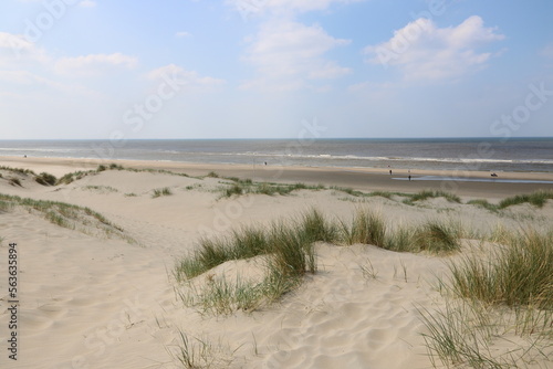 Fototapeta Naklejka Na Ścianę i Meble -  Sanddünen am Meer in Noordwijk an der Nordsee in Holland
