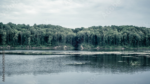 Mystical landscape. A river with a strip of dense dark forest.