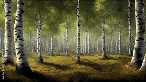 Fototapeta Naklejka Na Ścianę i Meble -  birch grove with mushrooms - colorful vector background illustration