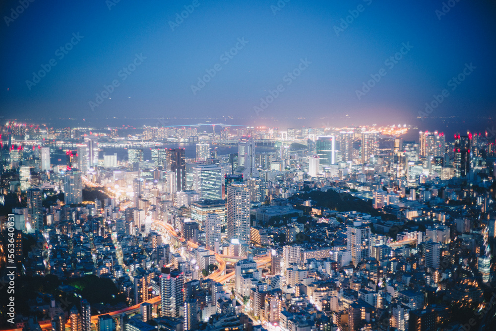 sky deck night view.