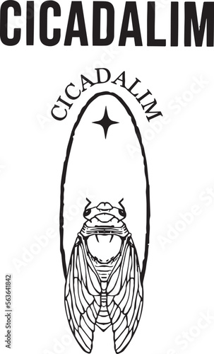 Cicada logo sketch art illustration