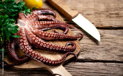 Beautiful octopus on a cutting board. 