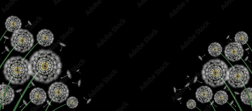 Dandelion, a plant that spreads its seeds in such an original way. Black background. Dandelion, a plant that spreads its seeds in such an original way. Black background.