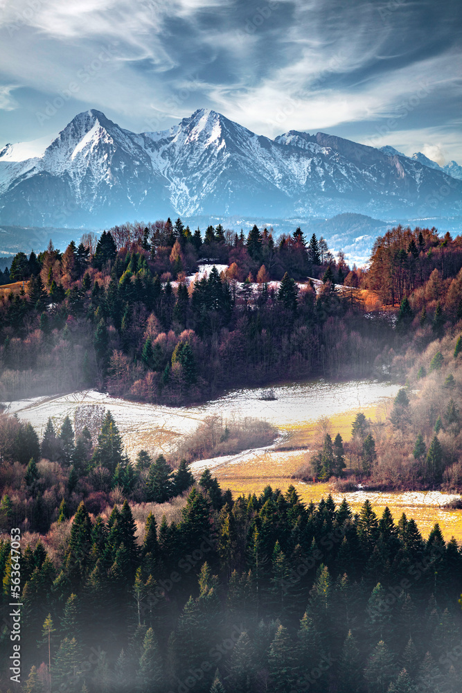 Awsome landscape od misty forest and Tatra Mountains on the horizon, Poland