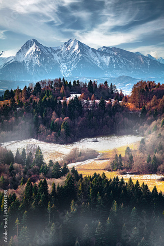 Awsome landscape od misty forest and Tatra Mountains on the horizon, Poland