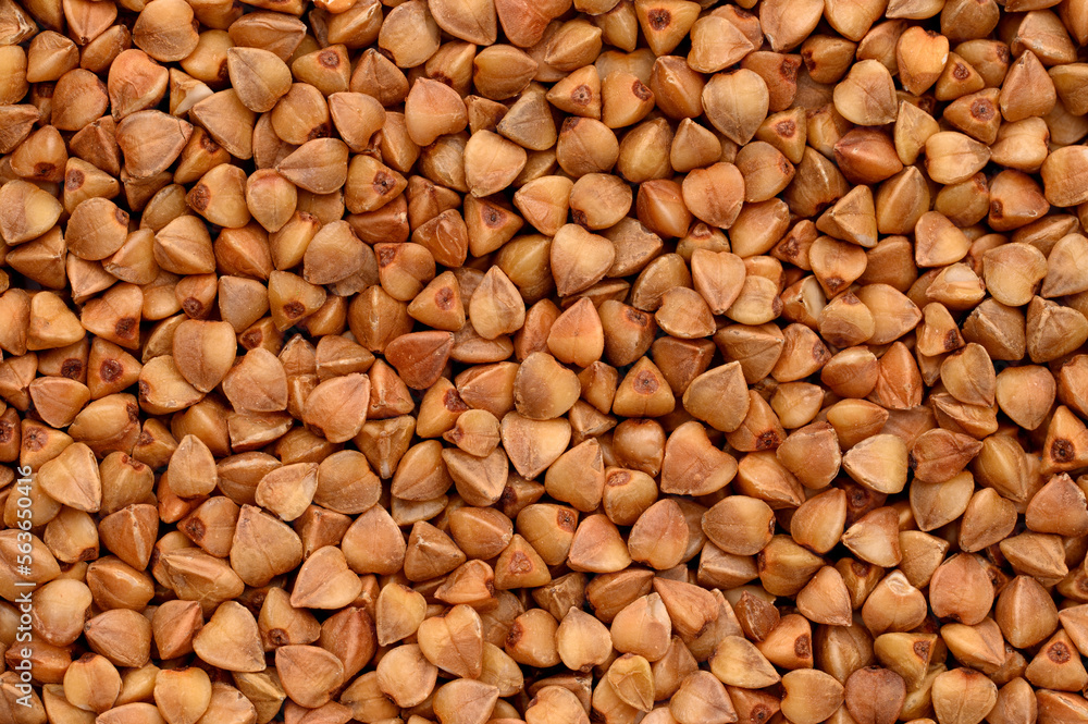 Close-up of buckwheat, top view.Texture, dry buckwheat background. Hypoallergenic filler for pillows. Prevention of anemia, diabetes. Close-up of buckwheat, top view.Texture, dry buckwheat background. Hypoallergenic filler for pillows. Prevention of anemia, diabetes.