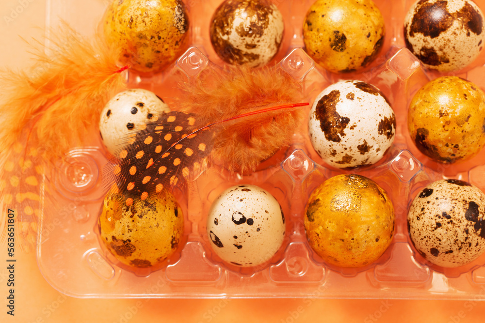 easter g quail eggs in plastic container  on pastel background