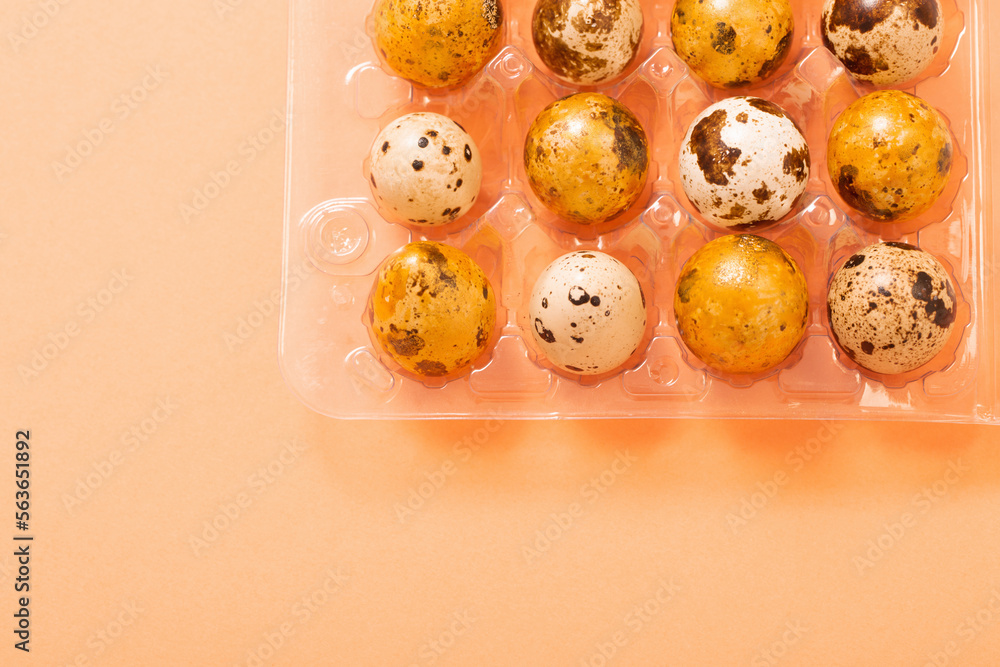 easter g quail eggs in plastic container  on pastel background
