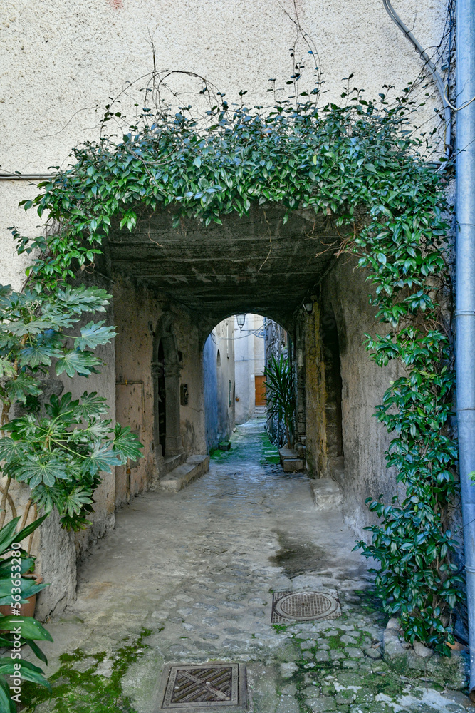 Obraz premium A narrow street in the historic center of Patrica, an old village in Lazio in the province of Frosinone, Italy.