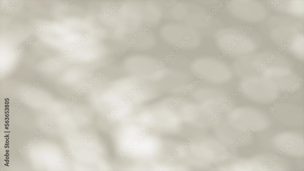 Abstract leaves shadow background with light bokeh falling on white wall and wallpaper texture. Grey and white smooth bokeh. Summer concept sunlight, for overlay on product presentation, mockup