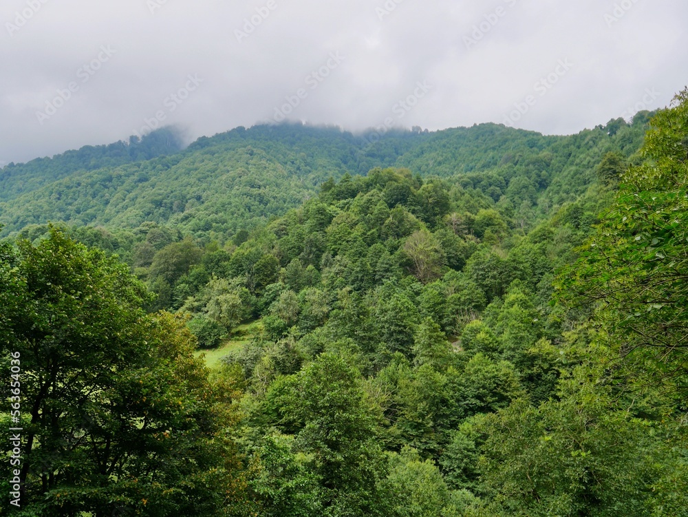 Panoramic view of Mtirala National Park, Georgia.