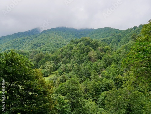 Panoramic view of Mtirala National Park, Georgia. © Maleo Photography