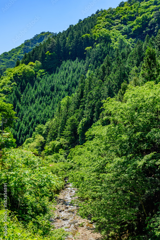 Obraz premium 南牧川の風景－群馬県南牧村