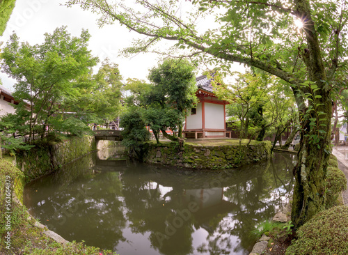 Manmade pond in a Japanese garden