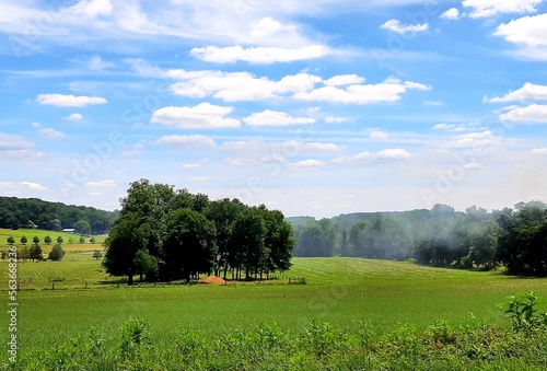 Rural landscape in summer with trees in a field with blue skies and puffy clouds in Chester County Pennsylvania
