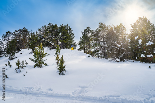 Man, snowboarder, riding down the mountain off piste on a fresh snow between pine trees. Ski winter holidays in Andorra, El Tarter, Pyrenees Mountains