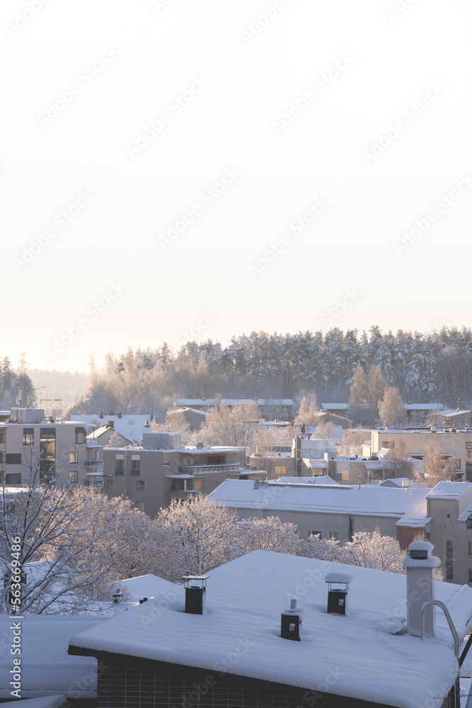 Winter landscape with houses and forest on background during sunny day