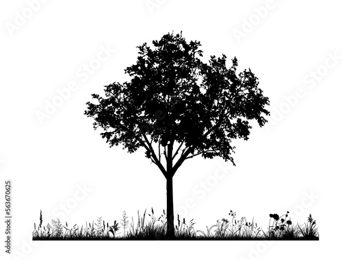 Vector silhouette of meadow on white background. Symbol of nature with grass and tree.