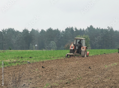 Oranie pola, ciągnik, traktor na polu z ptakami