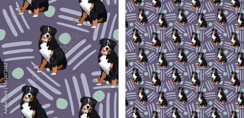 Seamless dog pattern, Christmas texture, birthday present packaging. Square format, decoration, wrapping paper. Trendy hand-drawn Bernese Mountain dog breed flat pastel vector. Berner Sennenhund.