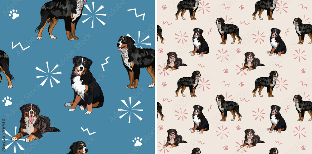 Seamless Berner Sennenhund dog blue and beige pattern, holiday texture. Square format, poster, packaging, textile, socks, textile, fabric, decoration, wrapping paper. Hand-drawn Bernese Mountain.