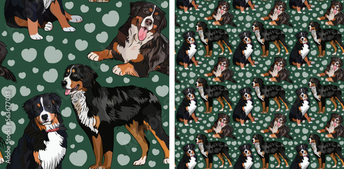Pattern design with Bernese Mountain dogs, funny doodles, and seamless pattern.T-shirt textile, wallpaper, wrapping paper, background graphic design with hearts on green background. Valentine's Day