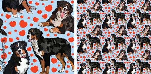 Pattern design with several Bernese Mountain dogs, funny doodles, and seamless pattern. Wallpaper, wrapping paper, background graphic design with hearts on blue background. Valentine Berner Sennenhund