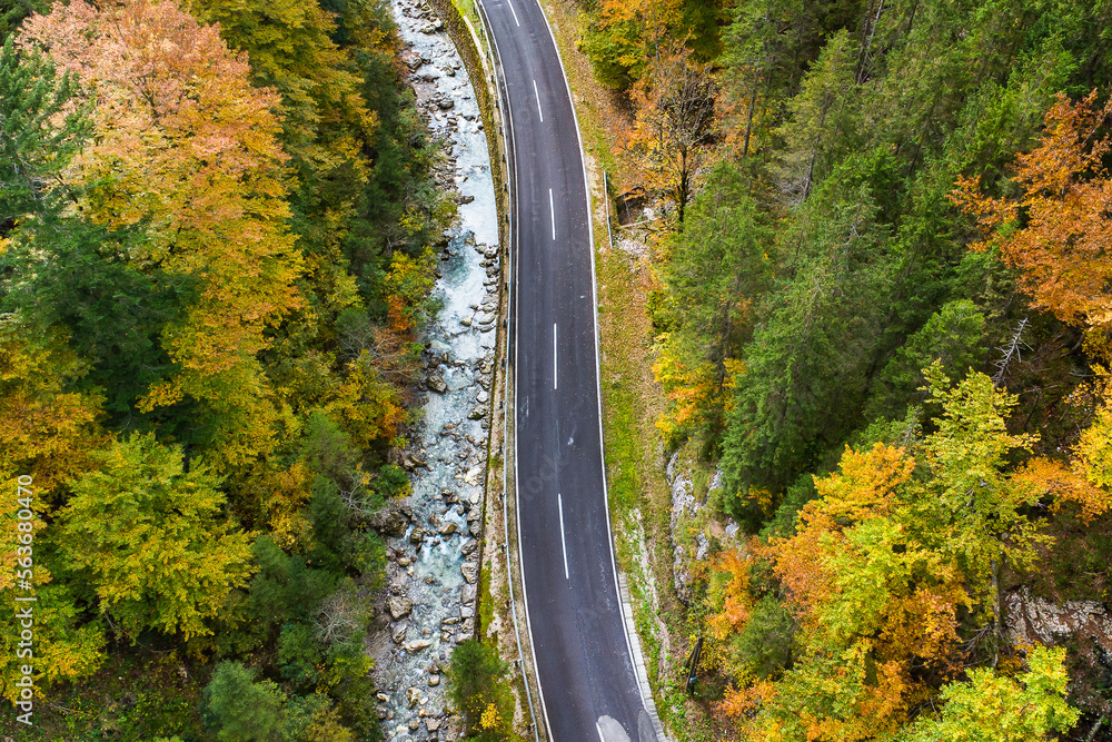 Aerial view of a curvy road leading through a forest in autumn colors