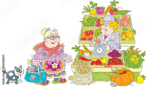 Funny chubby housewife and a her merry cat shopping at a market and buying fresh fruits and vegetables from a cheerful saleswoman, vector cartoon illustration isolated on a white background