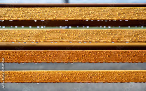 Принти на полотні Abstract of water droplets beading on wood bench