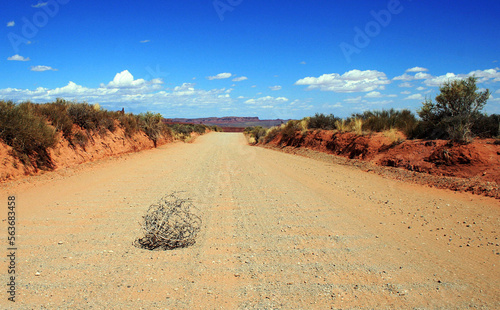 Quadro su tela tumbleweed
