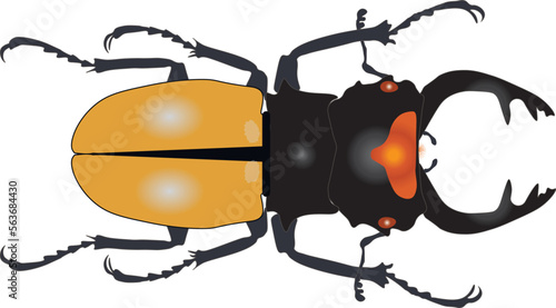 Lucanus beetle vector hand drawn illustration. Odontolabis lacordairei on white background, for print, tattoo, textile, card. Yellow black stag beetle, lucanidae, collection beetles, insects