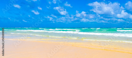 Tropical caribbean beach clear turquoise water Playa del Carmen Mexico.