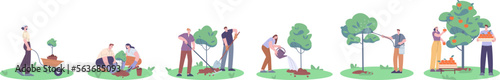 People planting and growth tree. Garden improvement, grow fruit plant in collaboration. Eco gardening, volunteer reforest process. Kicky vector development scene