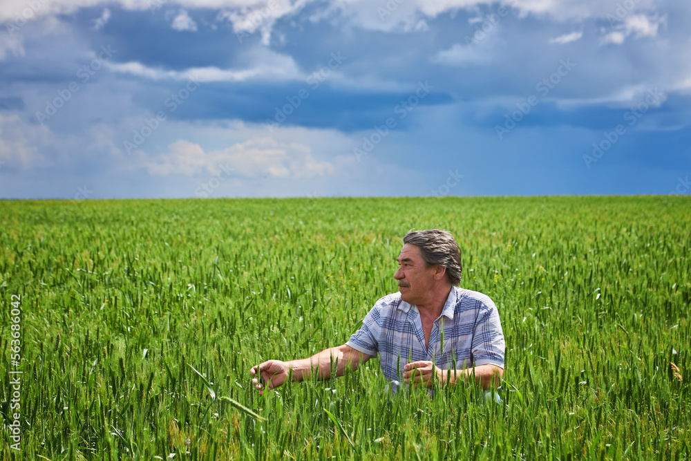 Portrait of farmer standing in green wheat field Portrait of farmer standing in green wheat field
