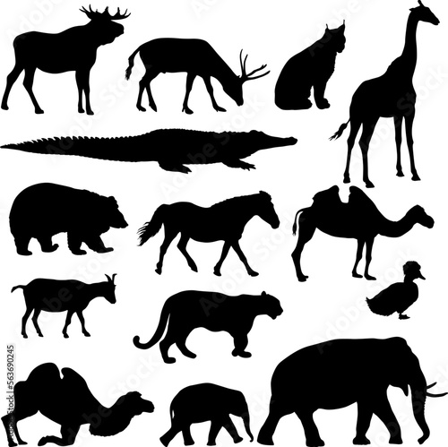 Silhouette elephant bear eagle trot duck zebra on a white background