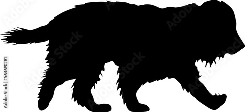 spaniel dog black silhouette on white background.
