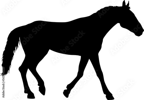 silhouette of black mustang horse vector illustration