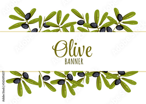 Olive oil branch banner frame concept. Vector cartoon graphic design element illustration