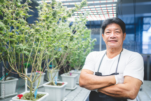 scientist checking hemp pla...