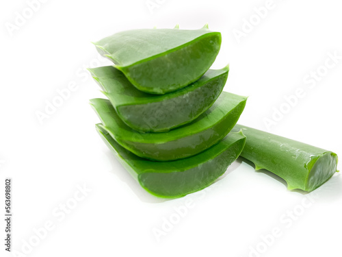Sliced Aloe Vera isolated on white background. Set large aloe vera leaves