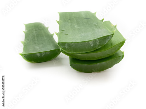 Sliced Aloe Vera isolated on white background. Set large aloe vera leaves